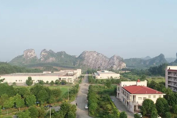 廣西匯華食品有限責(zé)任公司榮獲2021年全國生豬屠宰標(biāo)準(zhǔn)化示范廠